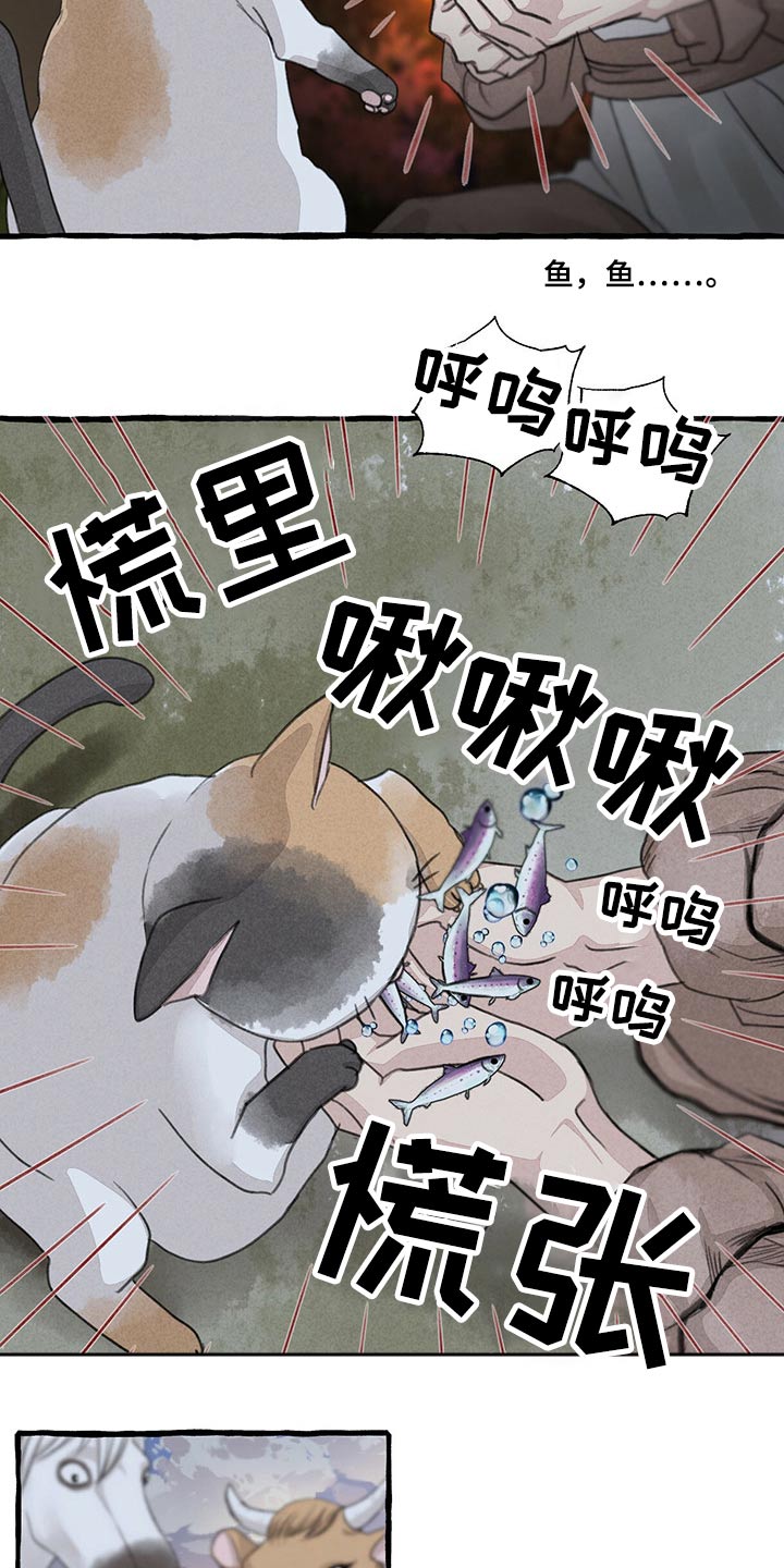 《冒险秘密》漫画最新章节第149章：无法相信免费下拉式在线观看章节第【17】张图片