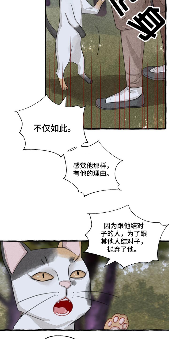 《冒险秘密》漫画最新章节第149章：无法相信免费下拉式在线观看章节第【7】张图片