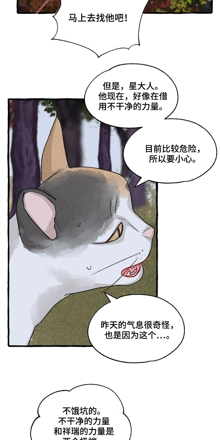 《冒险秘密》漫画最新章节第149章：无法相信免费下拉式在线观看章节第【9】张图片