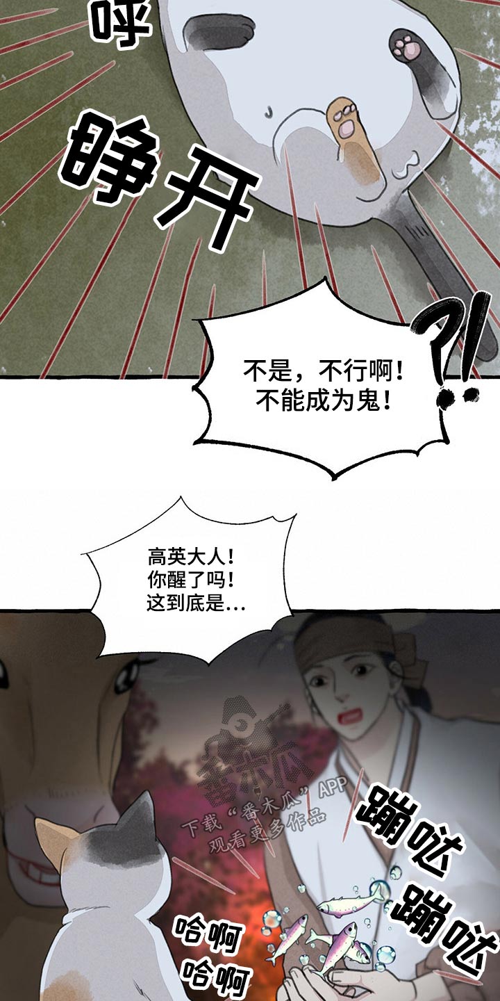 《冒险秘密》漫画最新章节第149章：无法相信免费下拉式在线观看章节第【18】张图片