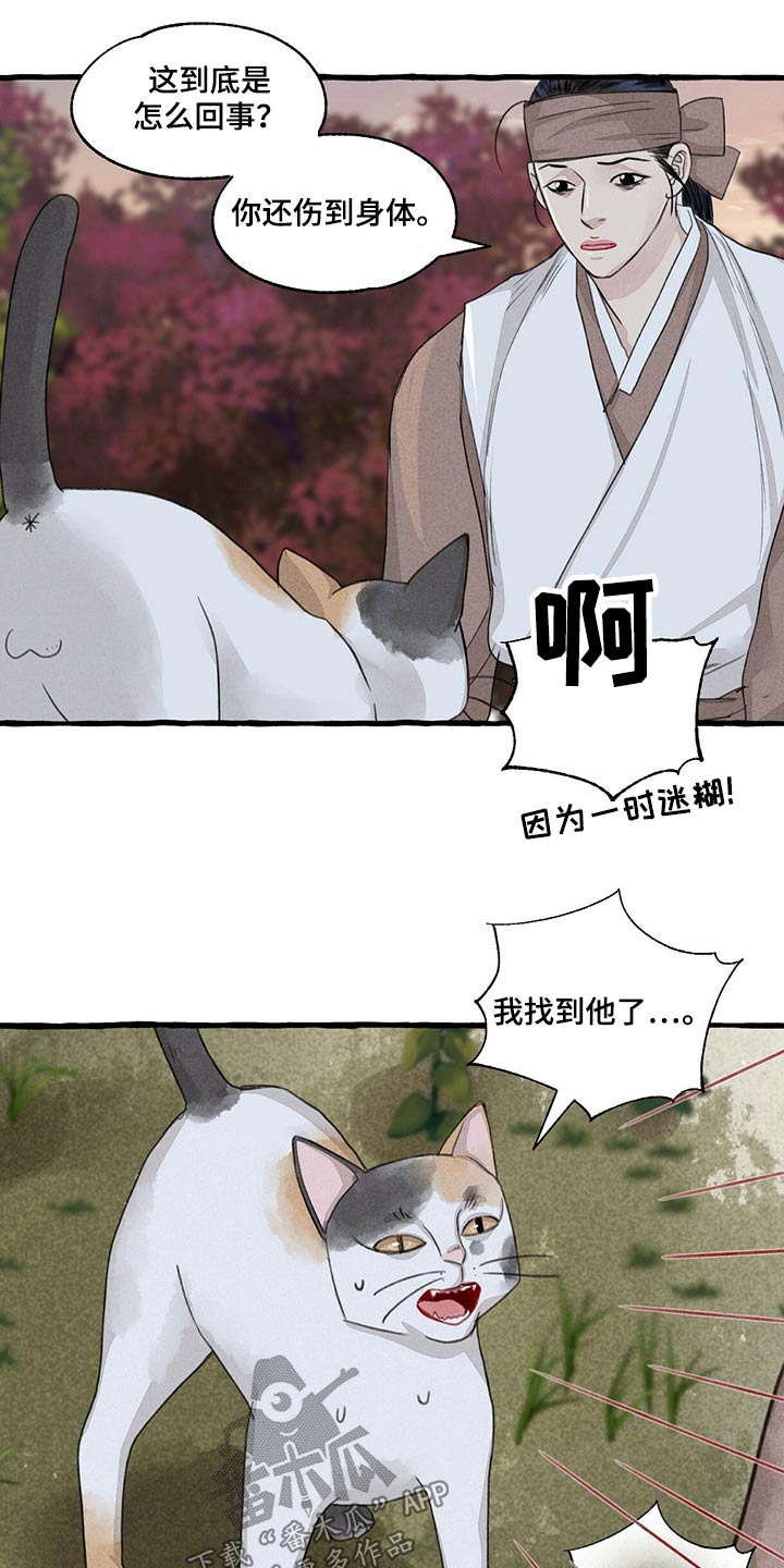 《冒险秘密》漫画最新章节第149章：无法相信免费下拉式在线观看章节第【11】张图片