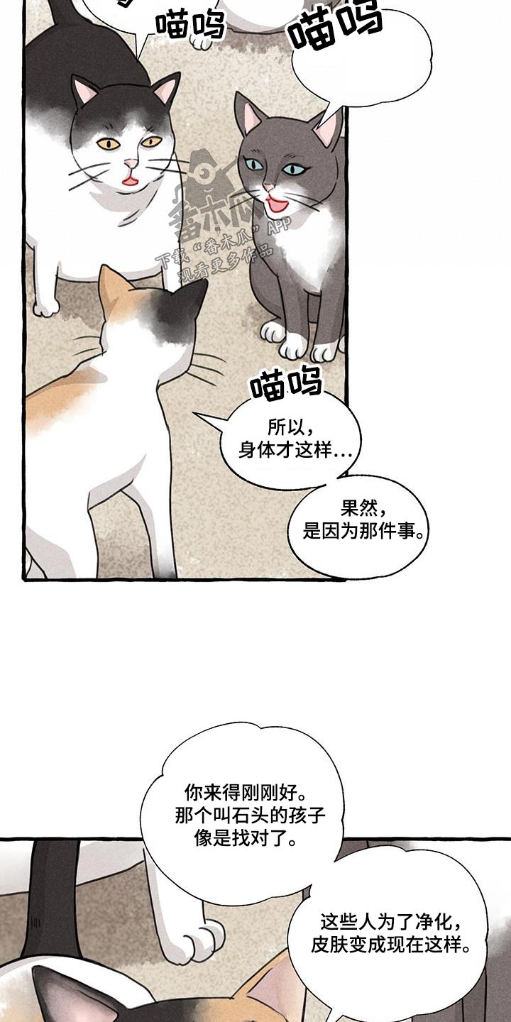 《冒险秘密》漫画最新章节第175章：没关系免费下拉式在线观看章节第【19】张图片