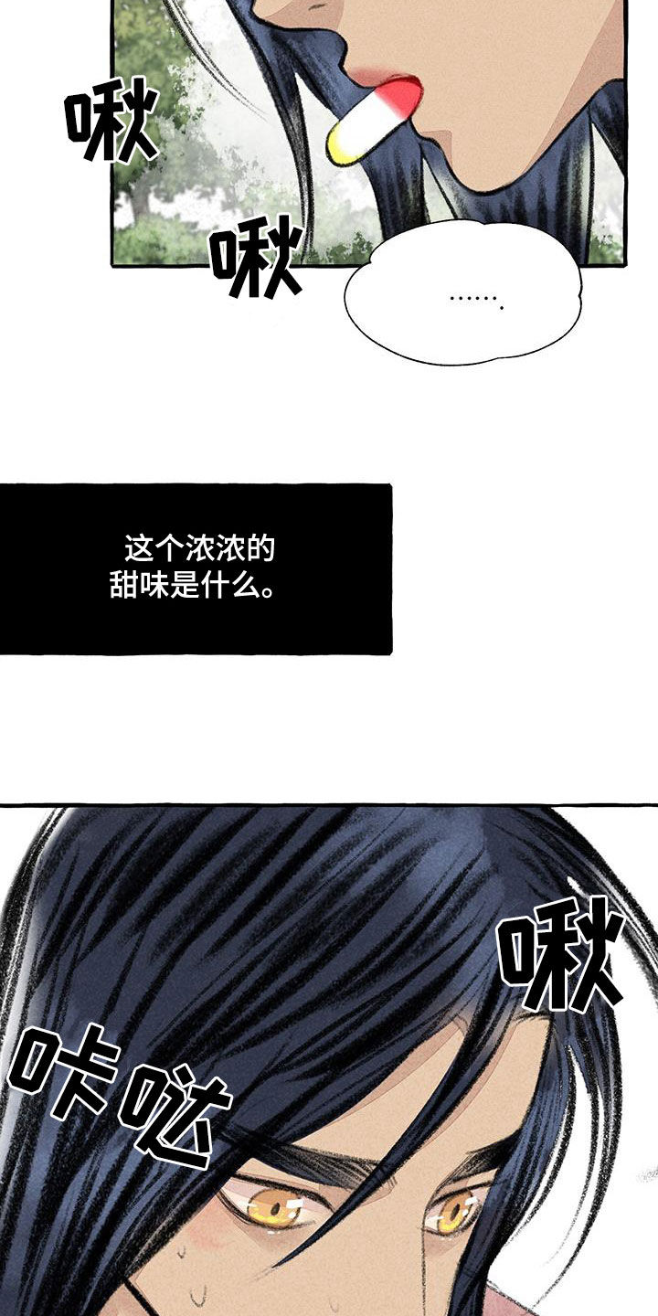 《冒险秘密》漫画最新章节第183章：感情免费下拉式在线观看章节第【17】张图片