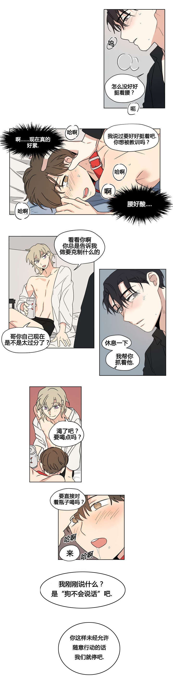 《共同录制》漫画最新章节第29章：我真是傻瓜免费下拉式在线观看章节第【11】张图片