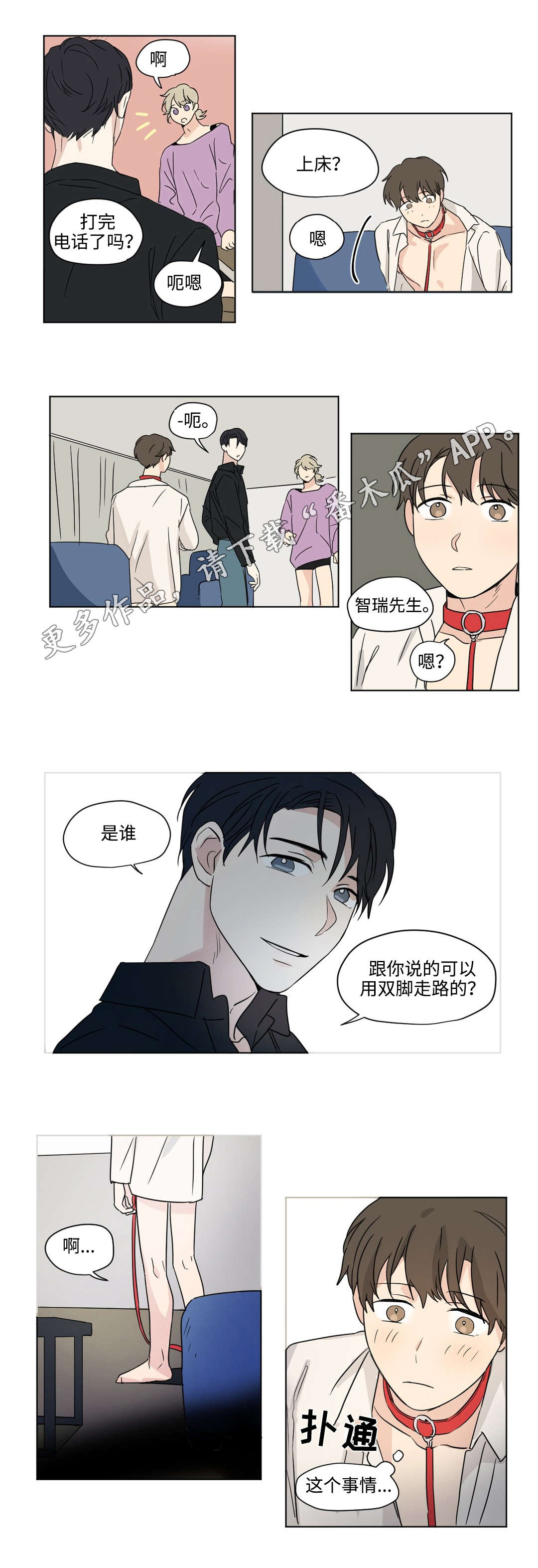 《共同录制》漫画最新章节第46章：期待免费下拉式在线观看章节第【5】张图片