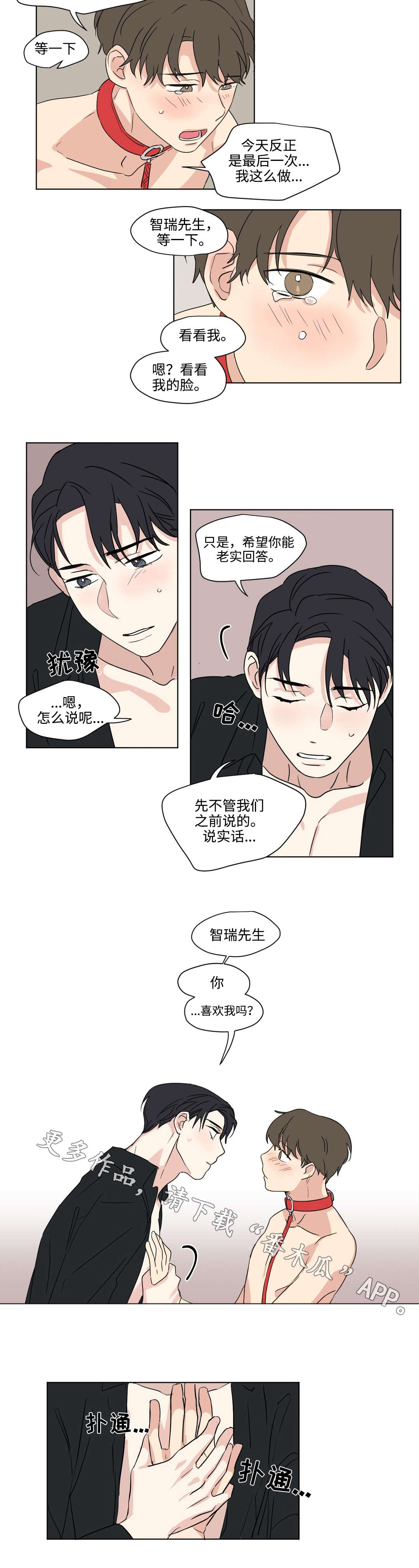 《共同录制》漫画最新章节第47章：表白免费下拉式在线观看章节第【2】张图片