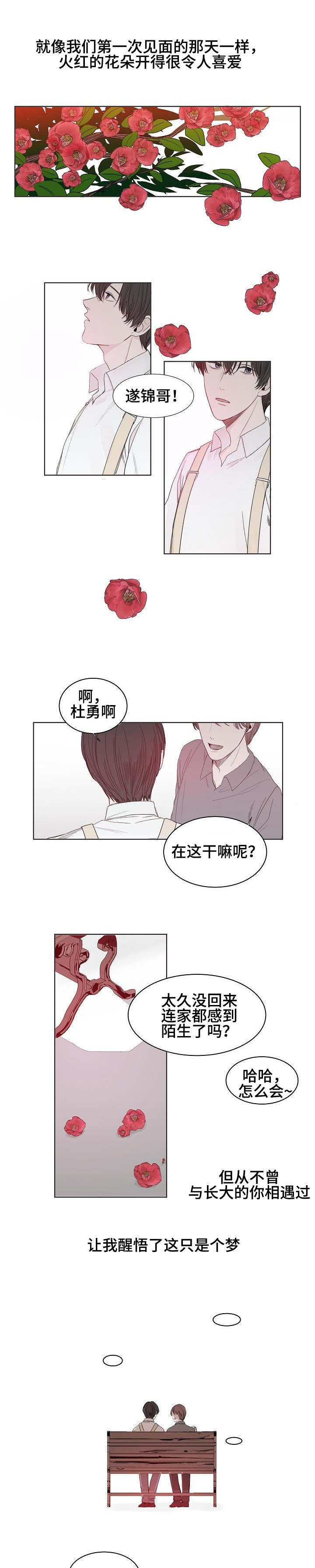 《冰凉的居所》漫画最新章节第1章：往事免费下拉式在线观看章节第【5】张图片