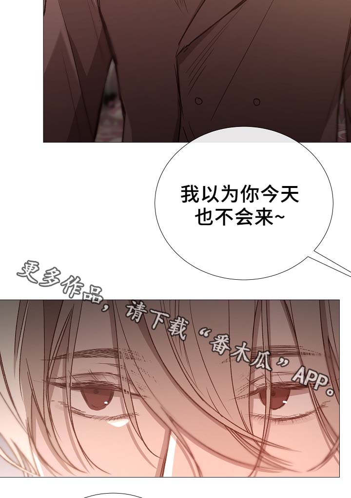 《冰凉的居所》漫画最新章节第79章：很忙免费下拉式在线观看章节第【5】张图片