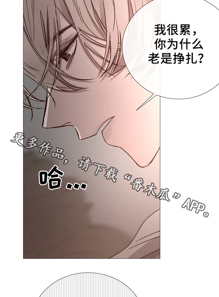 《冰凉的居所》漫画最新章节第81章：气氛正好免费下拉式在线观看章节第【28】张图片