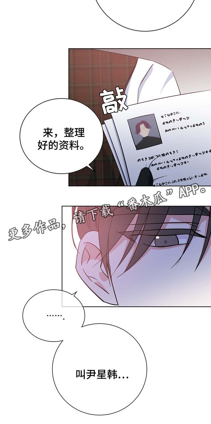 《危险合作》漫画最新章节第54章：调查免费下拉式在线观看章节第【7】张图片