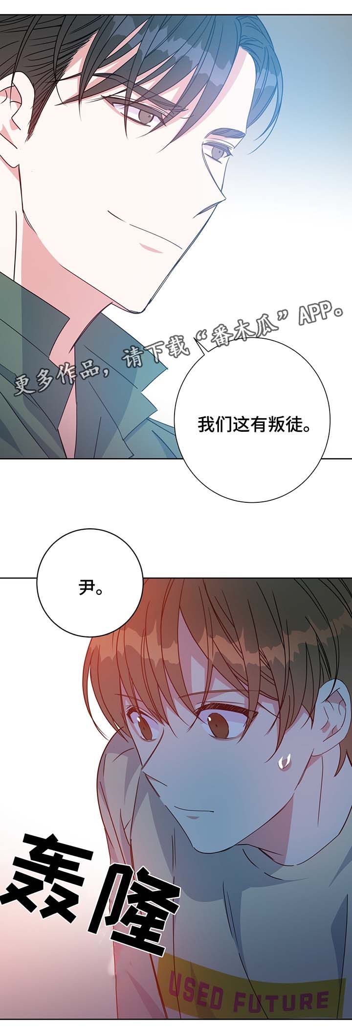 《危险合作》漫画最新章节第60章：叛徒免费下拉式在线观看章节第【6】张图片