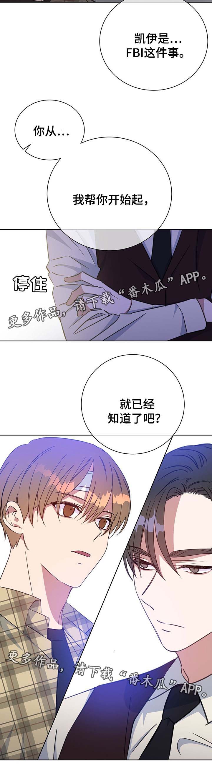 《危险合作》漫画最新章节第77章：报仇计划免费下拉式在线观看章节第【6】张图片