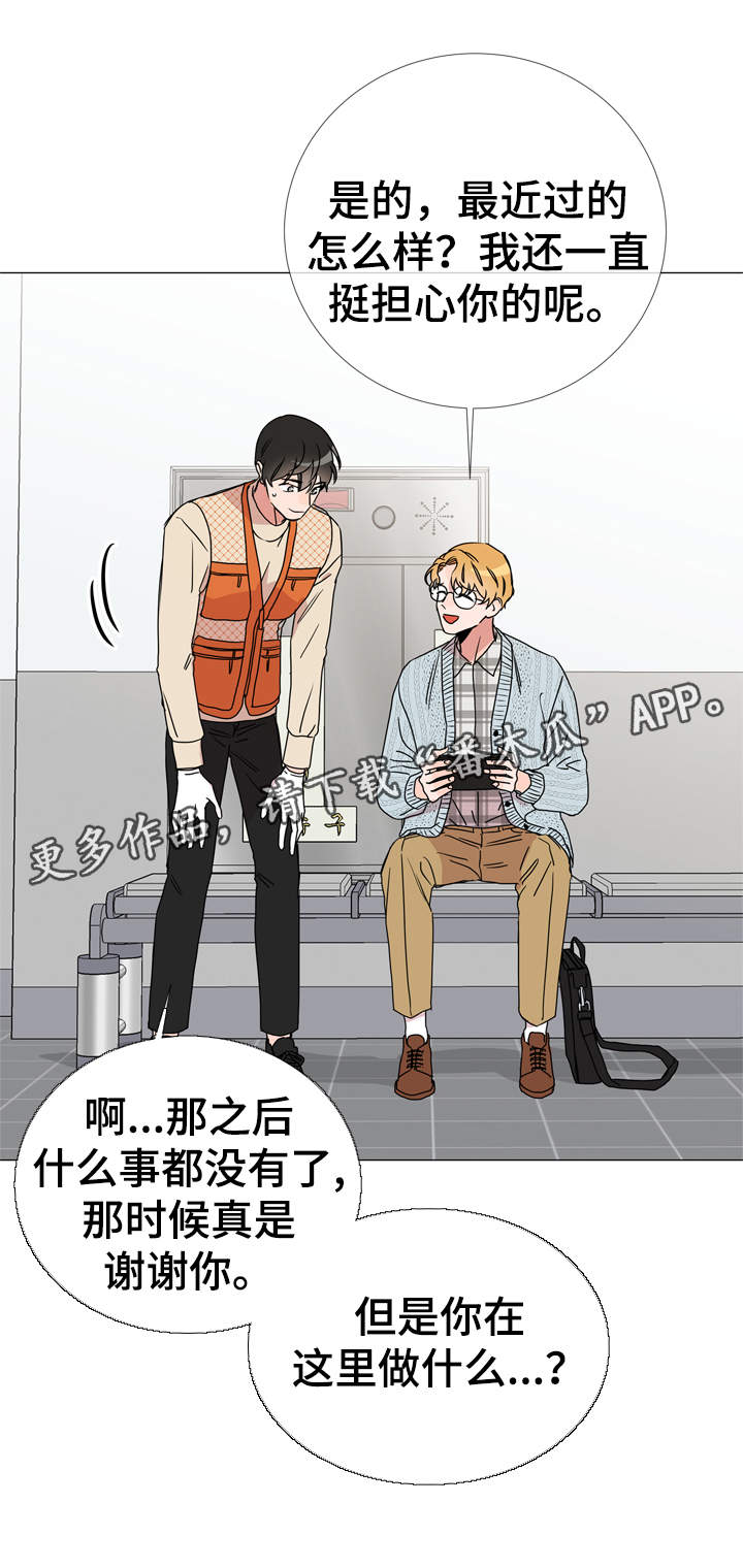 《目标人员》漫画最新章节第33章：他喜欢什么样的人免费下拉式在线观看章节第【8】张图片