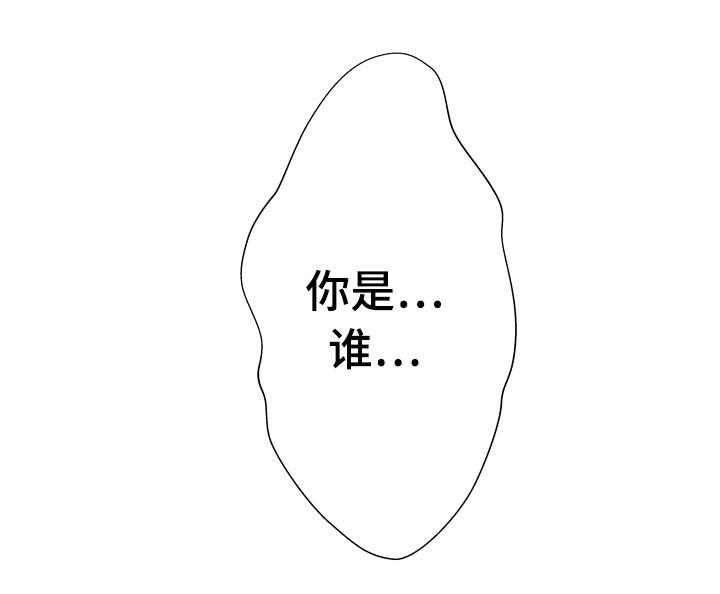 《超能面具》漫画最新章节第10章：被吸引免费下拉式在线观看章节第【9】张图片