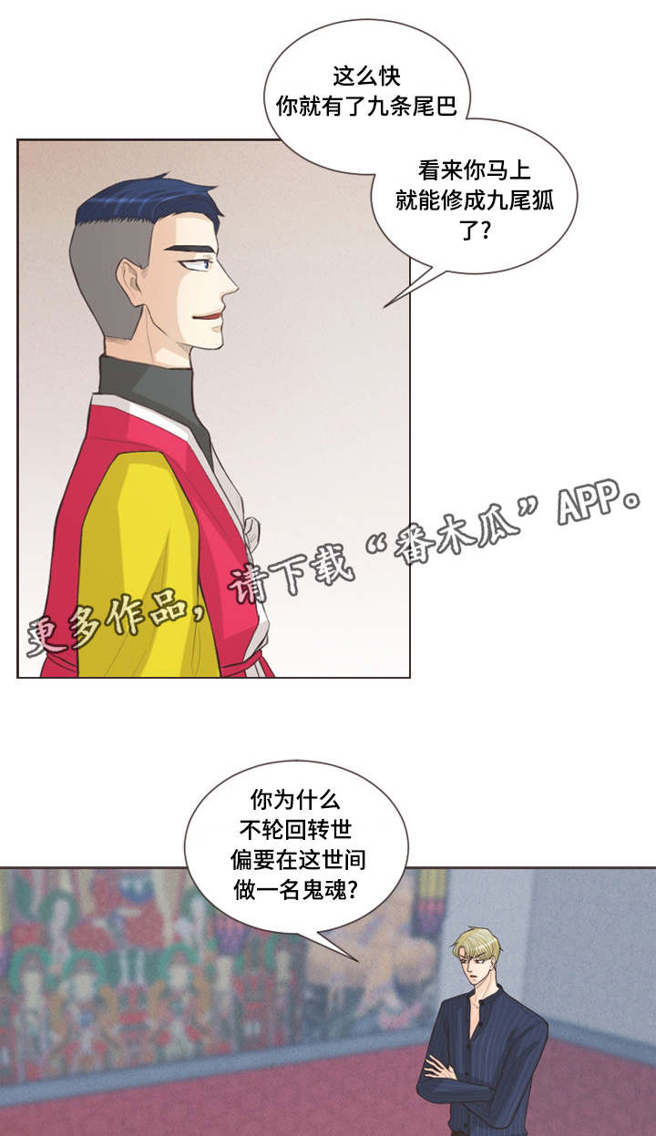 《人鬼结界》漫画最新章节第32章：不祥之兆免费下拉式在线观看章节第【11】张图片