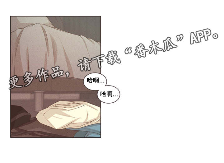 《人鬼结界》漫画最新章节第38章：受伤的是你免费下拉式在线观看章节第【12】张图片