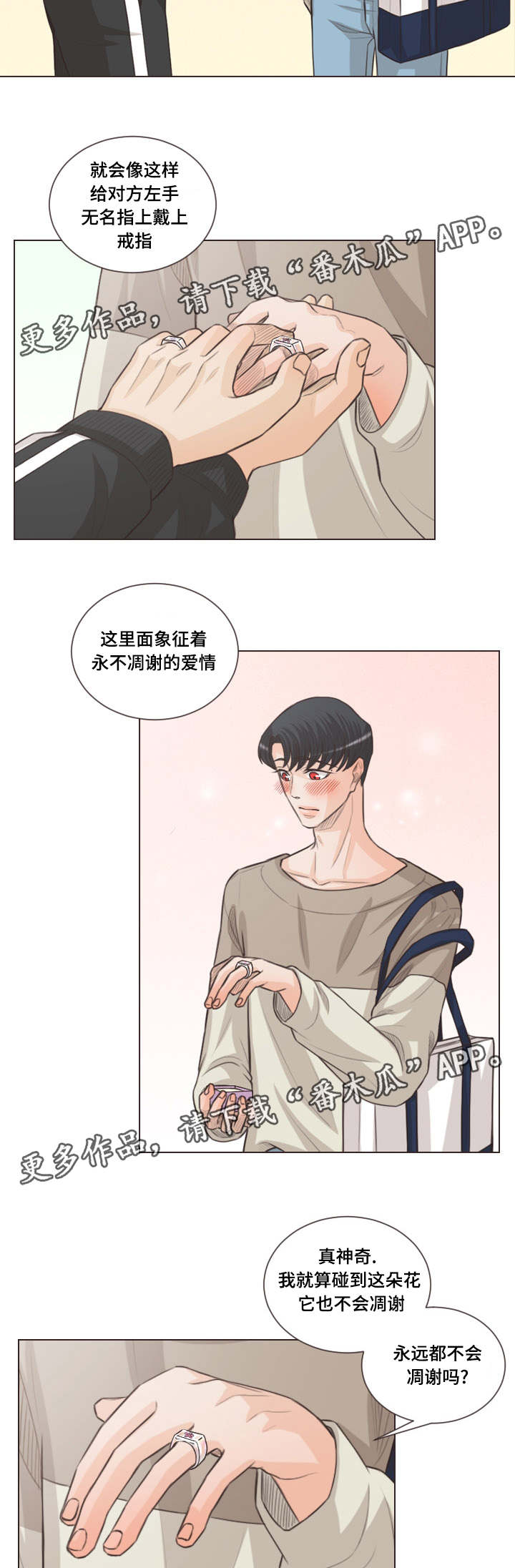 《人鬼结界》漫画最新章节第59章：对戒免费下拉式在线观看章节第【13】张图片