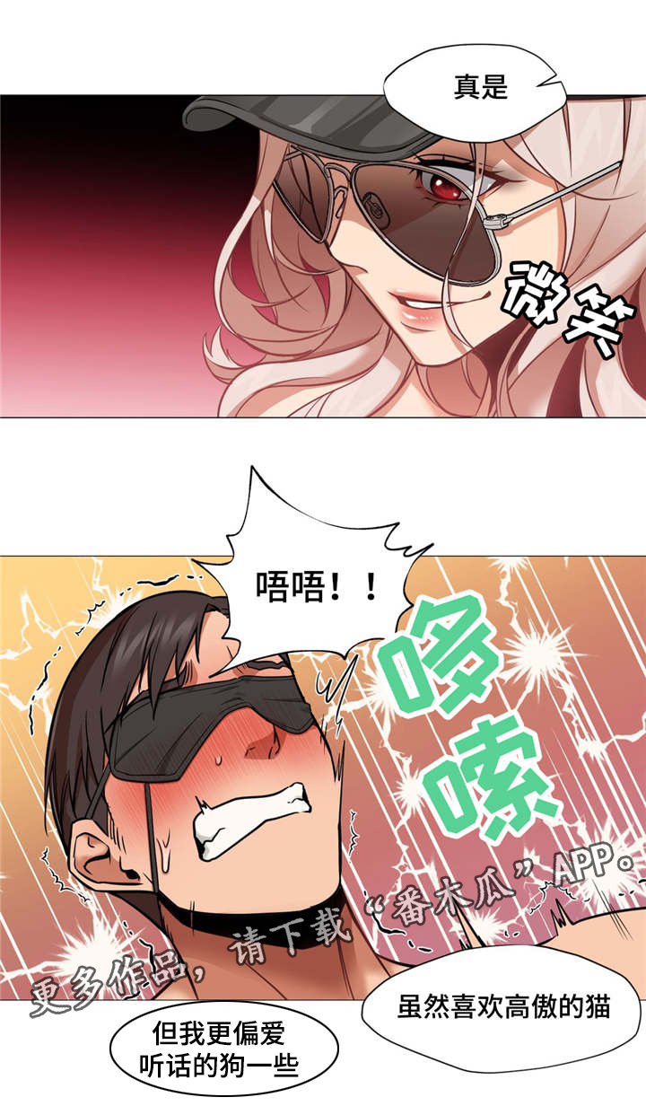 《灵魂调换》漫画最新章节第11章：被绑架了免费下拉式在线观看章节第【14】张图片