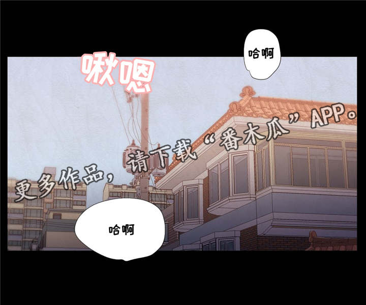 《灵魂调换》漫画最新章节第19章：你认识他吗免费下拉式在线观看章节第【11】张图片