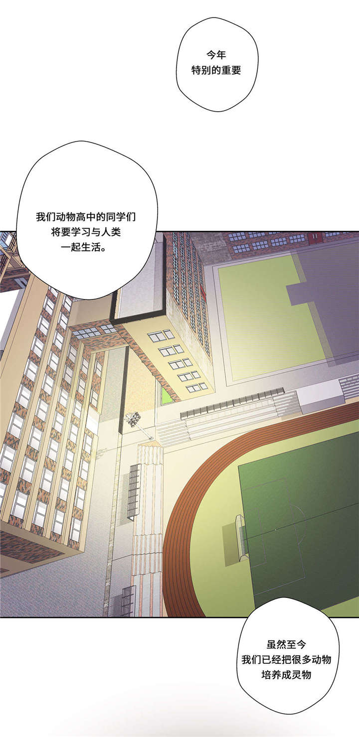 《奇妙的动物高中》漫画最新章节第1章：动物高中免费下拉式在线观看章节第【34】张图片