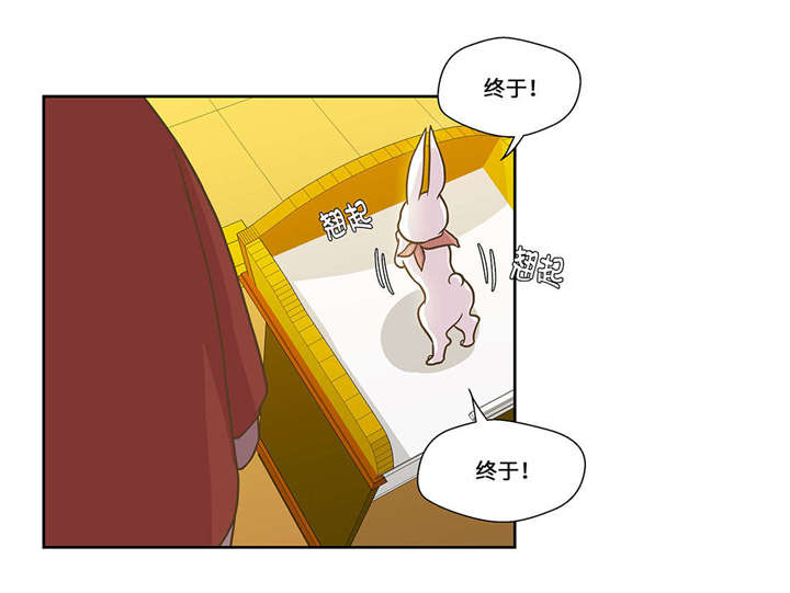 《奇妙的动物高中》漫画最新章节第1章：动物高中免费下拉式在线观看章节第【32】张图片