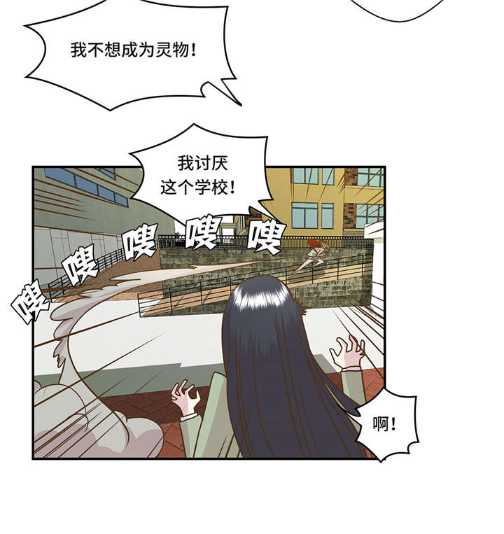 《奇妙的动物高中》漫画最新章节第2章：偶遇（上）免费下拉式在线观看章节第【13】张图片