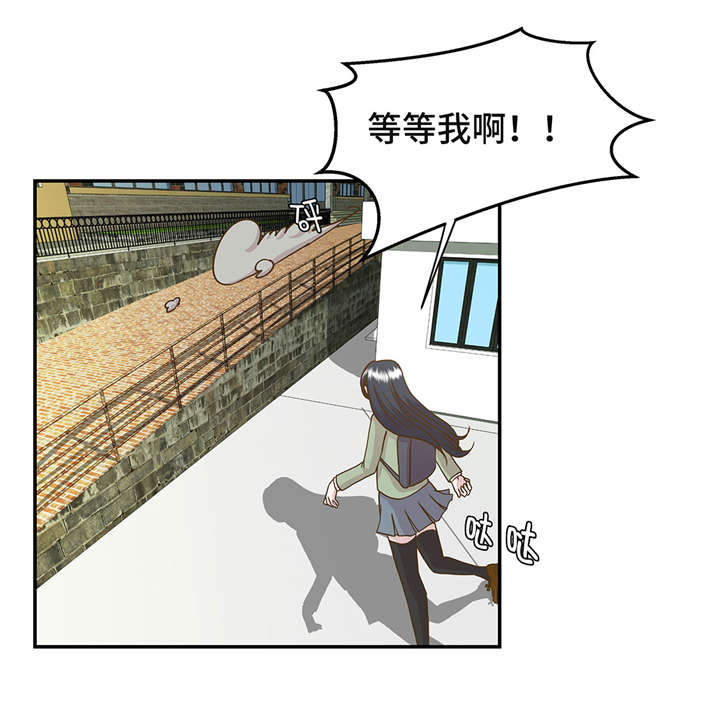 《奇妙的动物高中》漫画最新章节第2章：偶遇（上）免费下拉式在线观看章节第【11】张图片