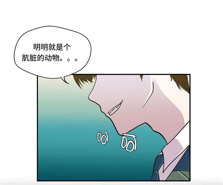 《奇妙的动物高中》漫画最新章节第3章： 偶遇（下）免费下拉式在线观看章节第【8】张图片