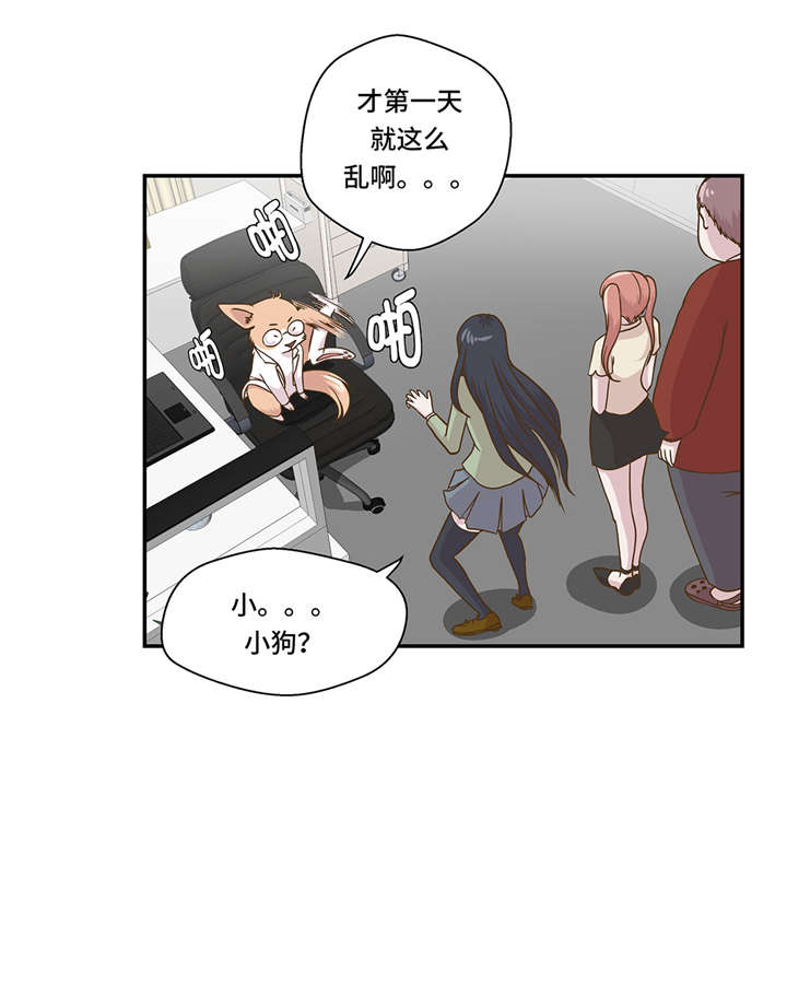 《奇妙的动物高中》漫画最新章节第6章： 被龙选中的人(上)免费下拉式在线观看章节第【18】张图片