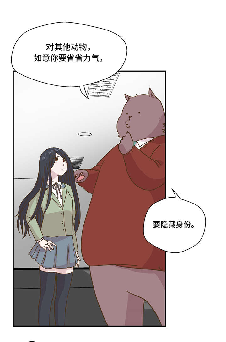 《奇妙的动物高中》漫画最新章节第7章：被龙选中的人(下)免费下拉式在线观看章节第【19】张图片