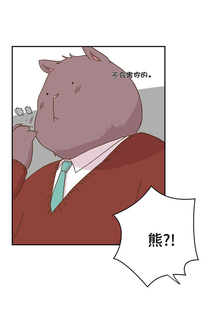 《奇妙的动物高中》漫画最新章节第7章：被龙选中的人(下)免费下拉式在线观看章节第【33】张图片