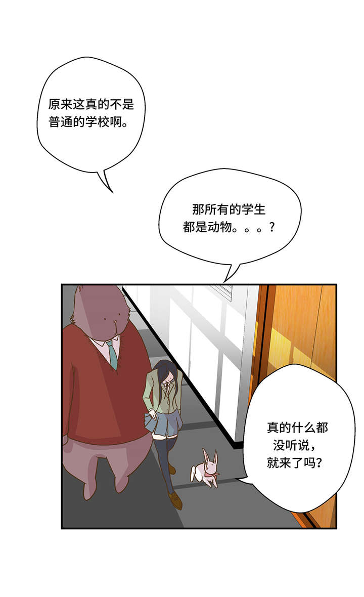 《奇妙的动物高中》漫画最新章节第7章：被龙选中的人(下)免费下拉式在线观看章节第【23】张图片