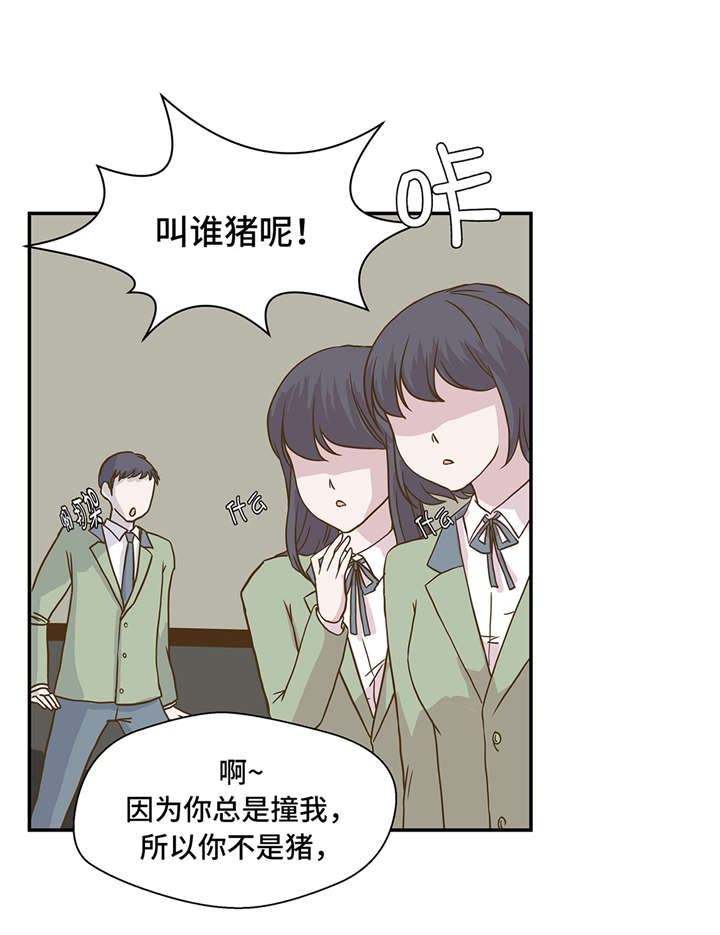 《奇妙的动物高中》漫画最新章节第8章：展示能力吧(上)免费下拉式在线观看章节第【31】张图片