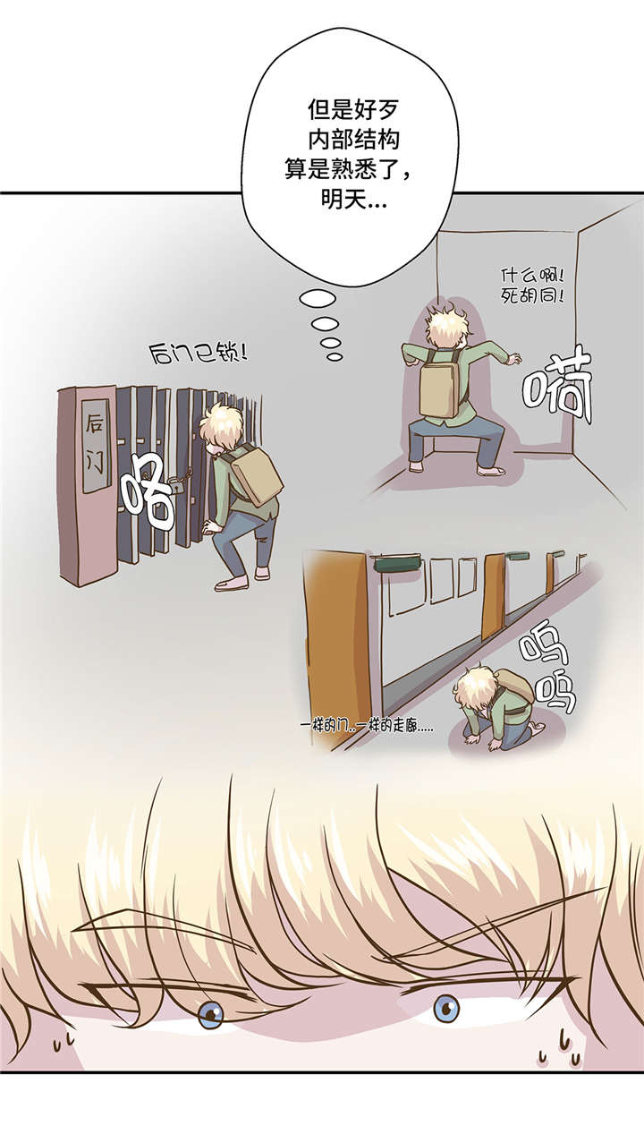 《奇妙的动物高中》漫画最新章节第13章：惹事猪免费下拉式在线观看章节第【9】张图片