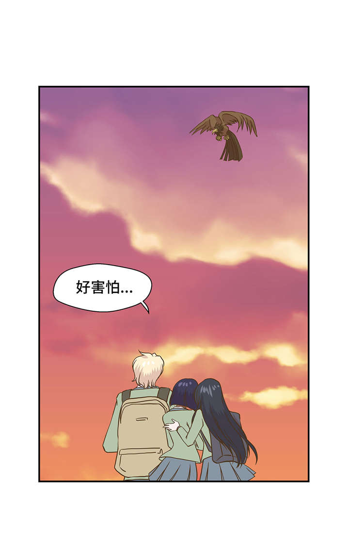 《奇妙的动物高中》漫画最新章节第14章：不是动物免费下拉式在线观看章节第【6】张图片