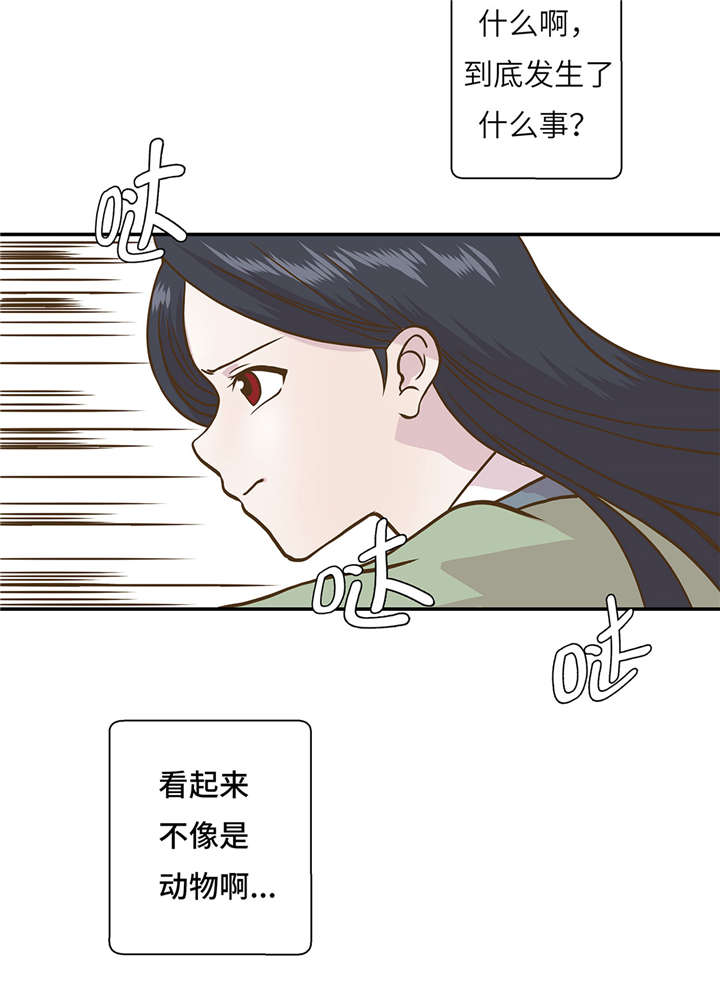 《奇妙的动物高中》漫画最新章节第14章：不是动物免费下拉式在线观看章节第【25】张图片