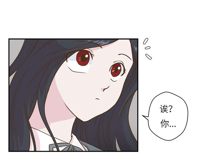 《奇妙的动物高中》漫画最新章节第18章：开早会免费下拉式在线观看章节第【20】张图片