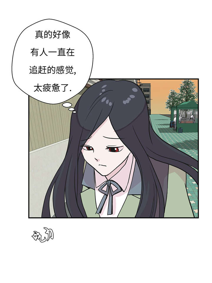 《奇妙的动物高中》漫画最新章节第21章：有人跟踪免费下拉式在线观看章节第【34】张图片