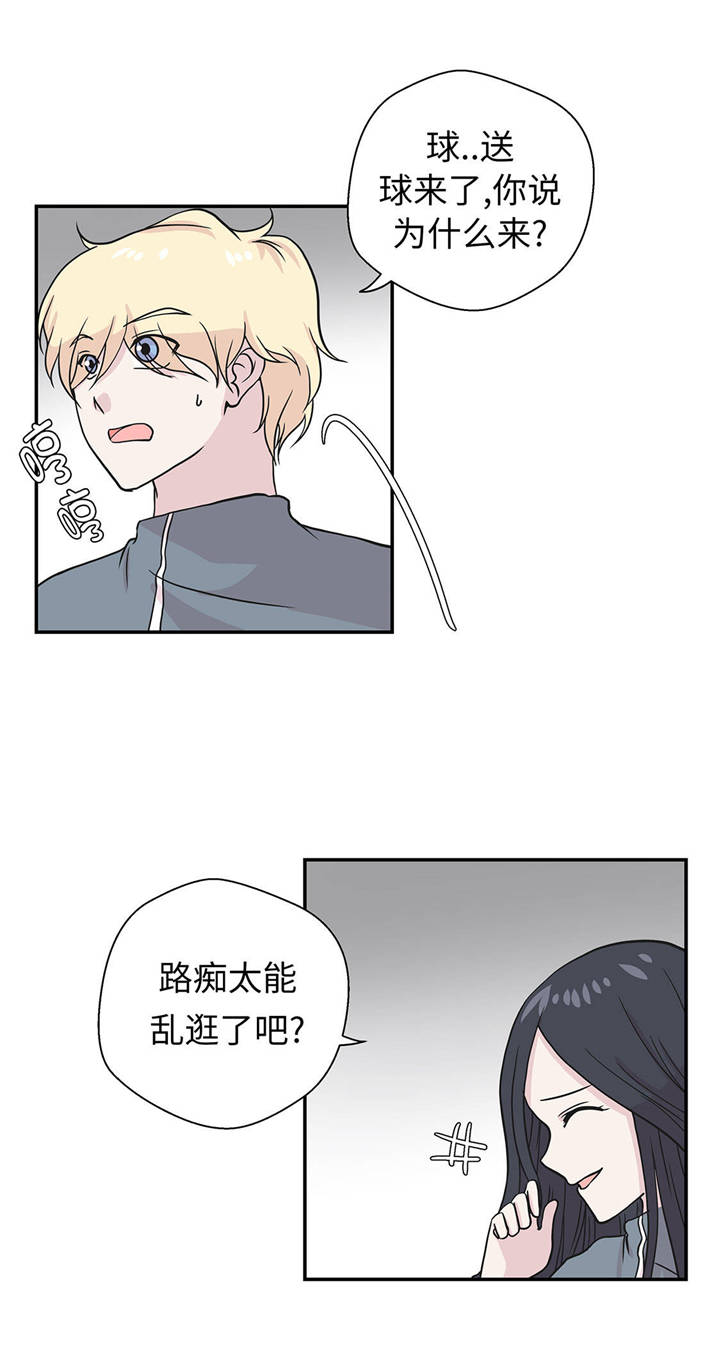 《奇妙的动物高中》漫画最新章节第32章：我不是故意的免费下拉式在线观看章节第【20】张图片