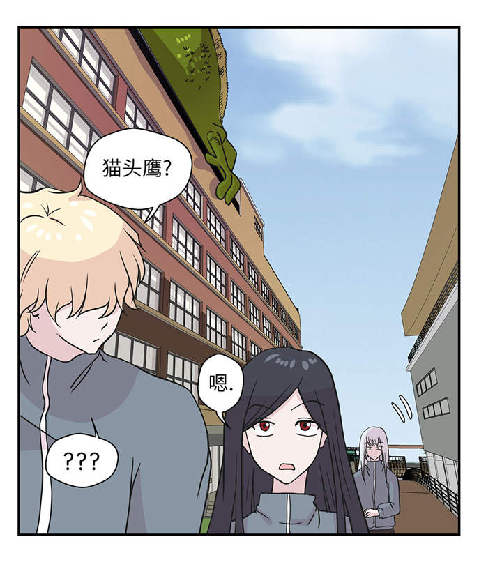 《奇妙的动物高中》漫画最新章节第36章：是龙免费下拉式在线观看章节第【9】张图片