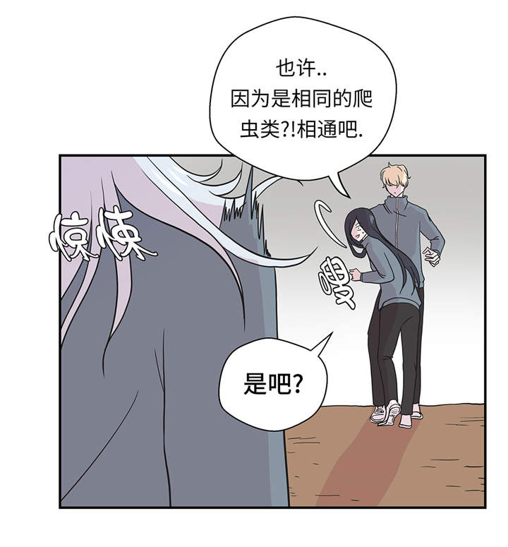 《奇妙的动物高中》漫画最新章节第36章：是龙免费下拉式在线观看章节第【14】张图片