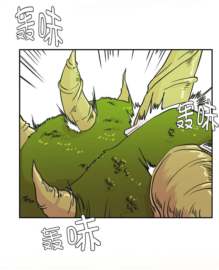 《奇妙的动物高中》漫画最新章节第36章：是龙免费下拉式在线观看章节第【3】张图片