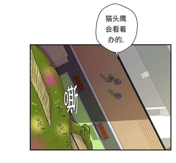 《奇妙的动物高中》漫画最新章节第36章：是龙免费下拉式在线观看章节第【10】张图片