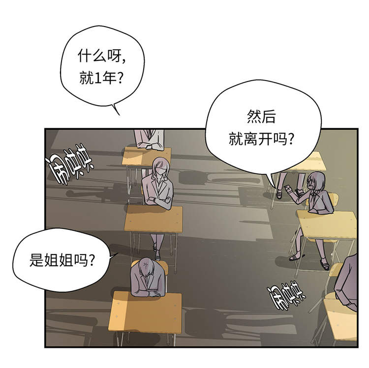 《奇妙的动物高中》漫画最新章节第39章：未来职业免费下拉式在线观看章节第【17】张图片