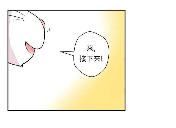 《奇妙的动物高中》漫画最新章节第39章：未来职业免费下拉式在线观看章节第【16】张图片