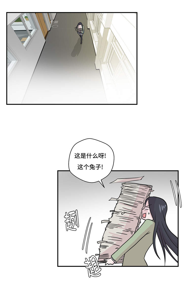 《奇妙的动物高中》漫画最新章节第39章：未来职业免费下拉式在线观看章节第【11】张图片