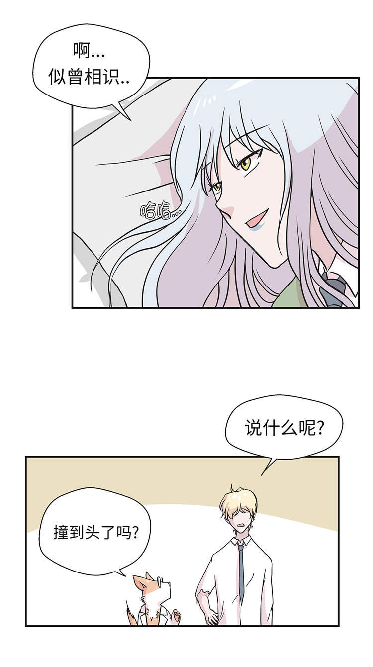 《奇妙的动物高中》漫画最新章节第44章：昏迷免费下拉式在线观看章节第【14】张图片