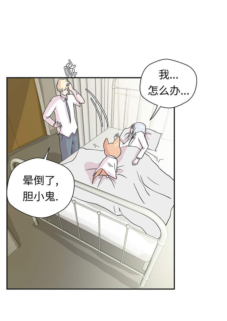 《奇妙的动物高中》漫画最新章节第44章：昏迷免费下拉式在线观看章节第【15】张图片