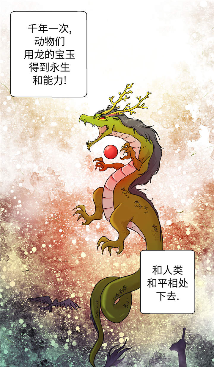 《奇妙的动物高中》漫画最新章节第49章：传说中的龙免费下拉式在线观看章节第【28】张图片