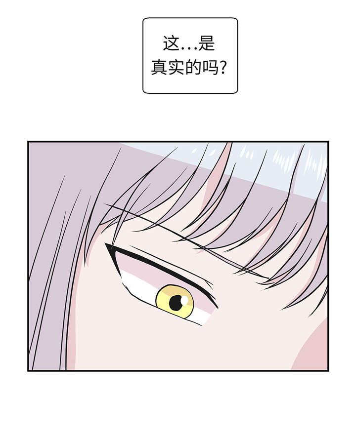 《奇妙的动物高中》漫画最新章节第52章： 被杀之前免费下拉式在线观看章节第【4】张图片